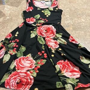 BNWOT, XS Nikki dress